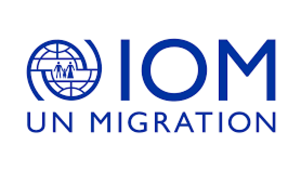 iom Monitoring, Reporting and Learning Analyst Vacancy-Job Ref: BJELIOM/0107/2025804