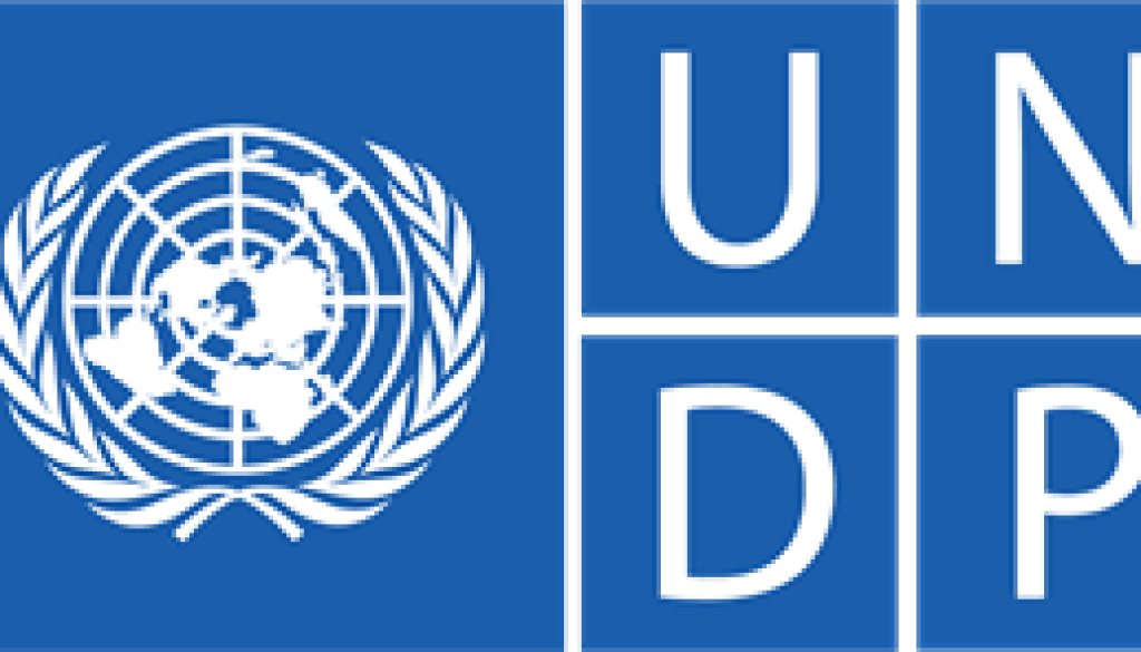 National Project Manager Vacancy-Job Ref: BJELUNDP/1201/202644
