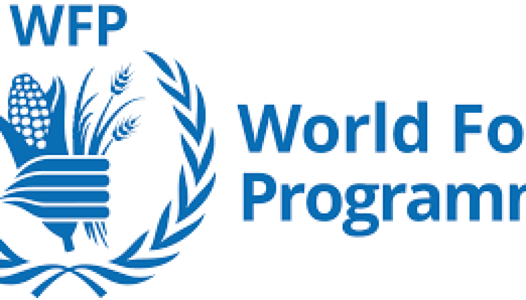 wfp Communication Assistant SC5 Vacancy-Job Ref: BJELWFP/2007/2025809
